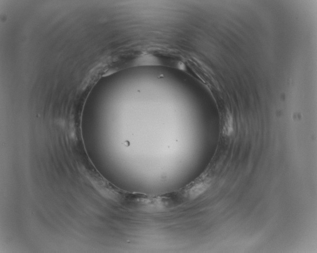 X0000076250524200610122208