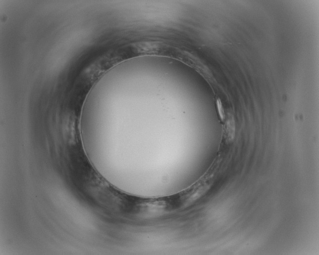 X0000076250525200610122208