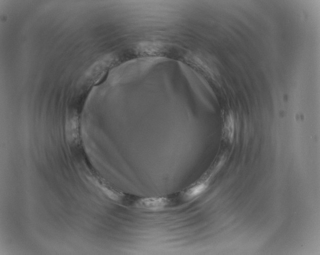 X0000076250526200610122208