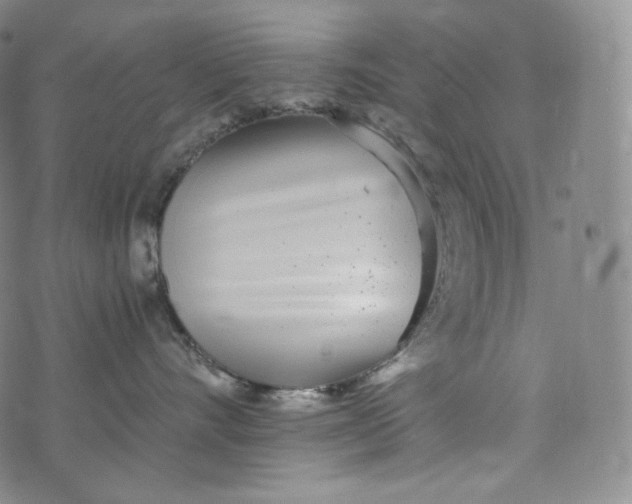 X0000076250528200610122208