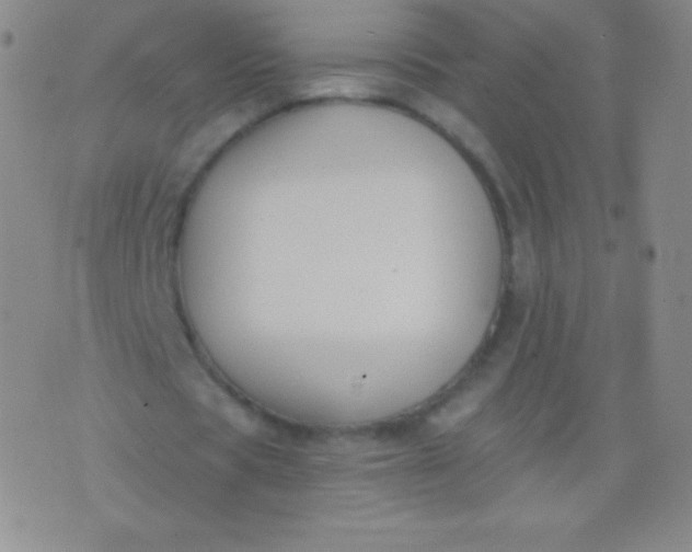 X0000076250529200610122207