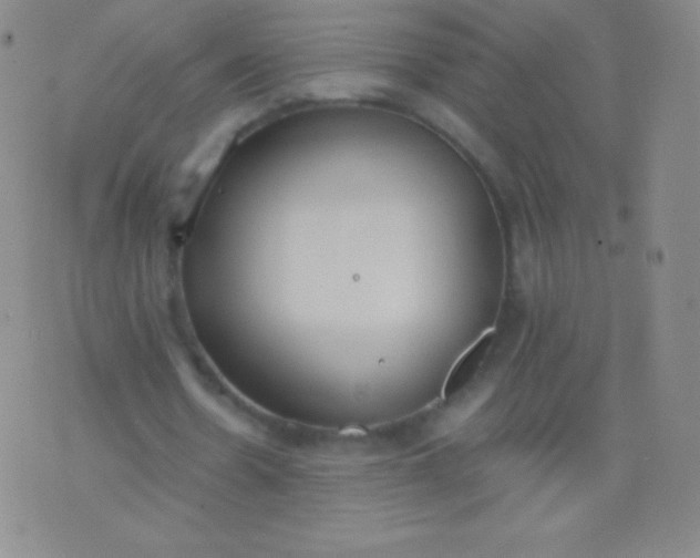 X0000076250530200610122207