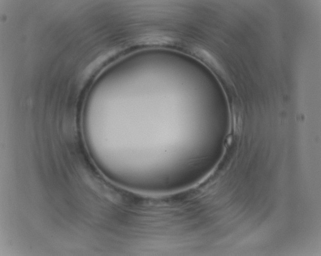 X0000076250531200610122207