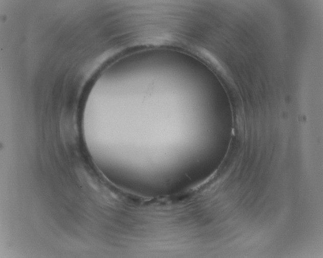 X0000076250532200610122207