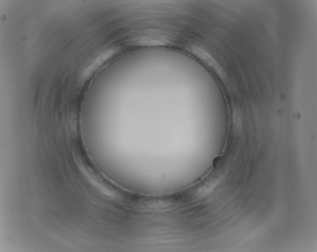 X0000076250533200610122207