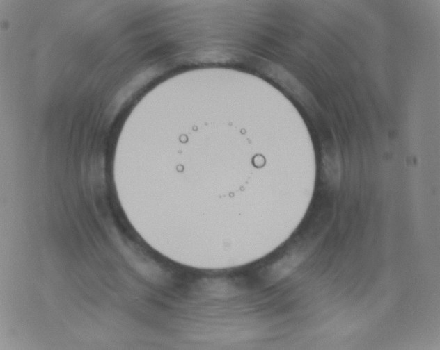 X0000076250534200610122207