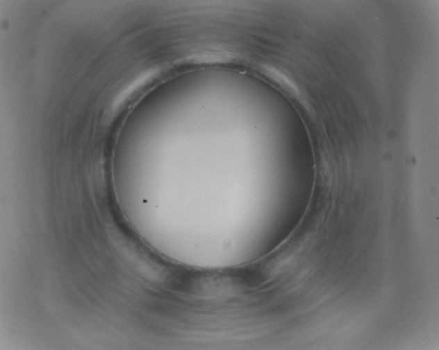 X0000076250535200610122207