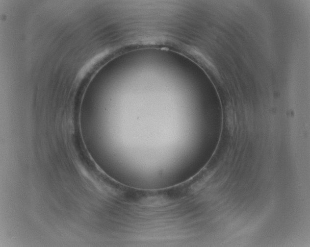 X0000076250536200610122208