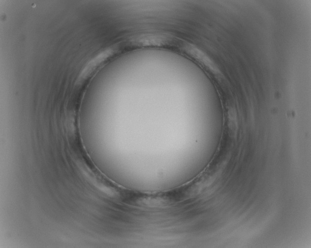 X0000076250537200610122208