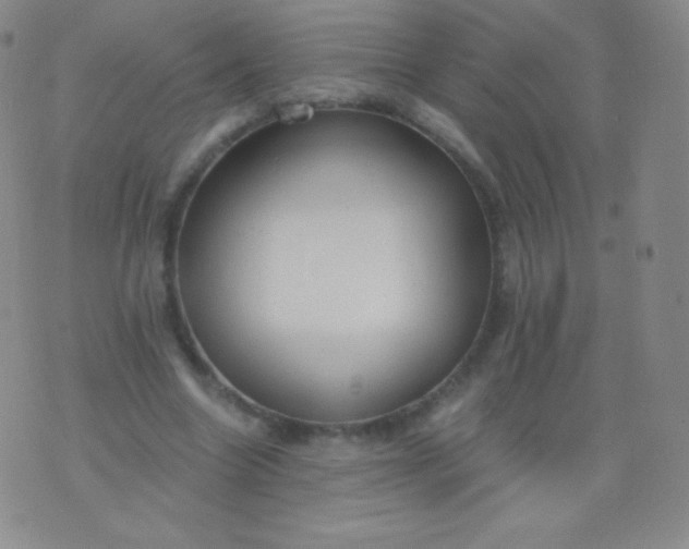 X0000076250538200610122208