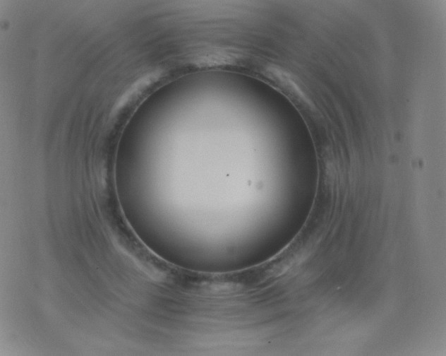 X0000076250539200610122208