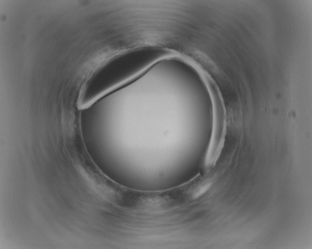 X0000076250540200610122208