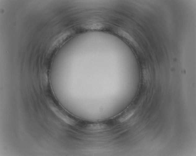 X0000076250541200610122208