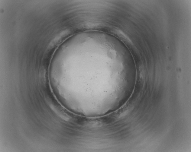 X0000076250542200610122208