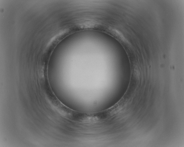 X0000076250543200610122208