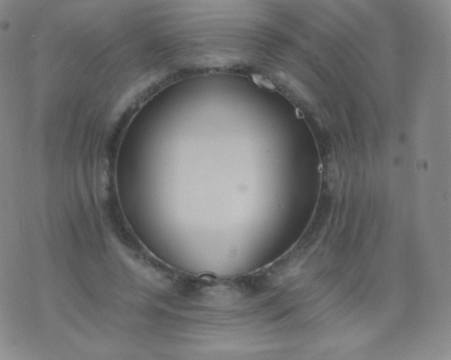 X0000076250544200610122208