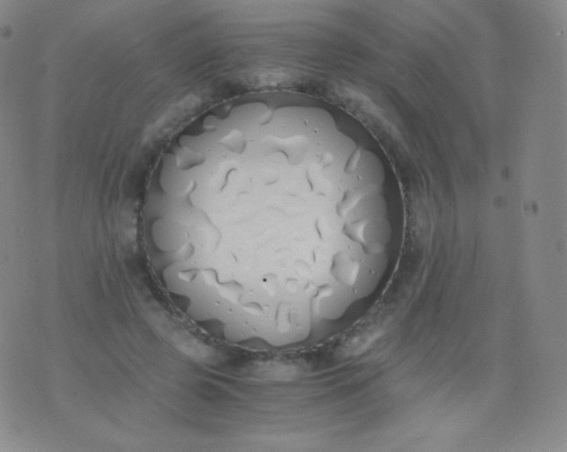 X0000076250545200610122208