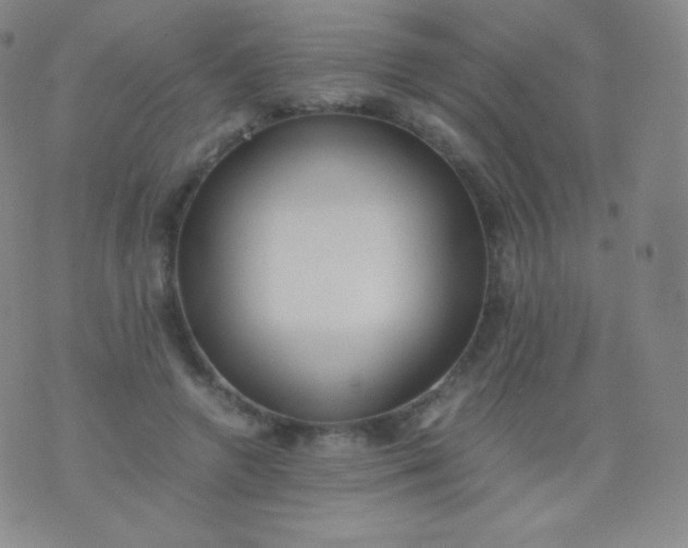 X0000076250546200610122208