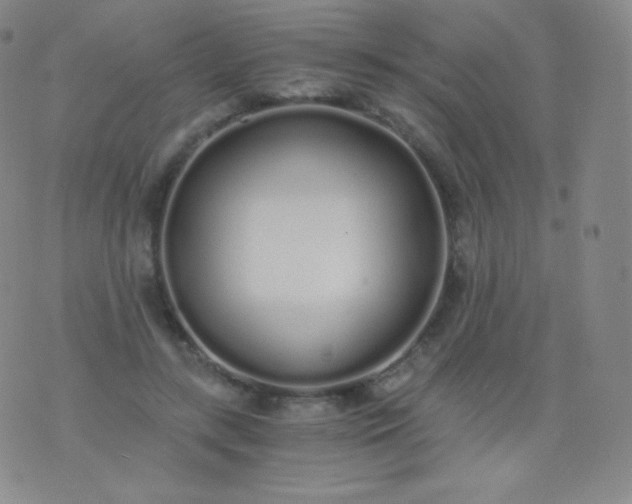 X0000076250547200610122208