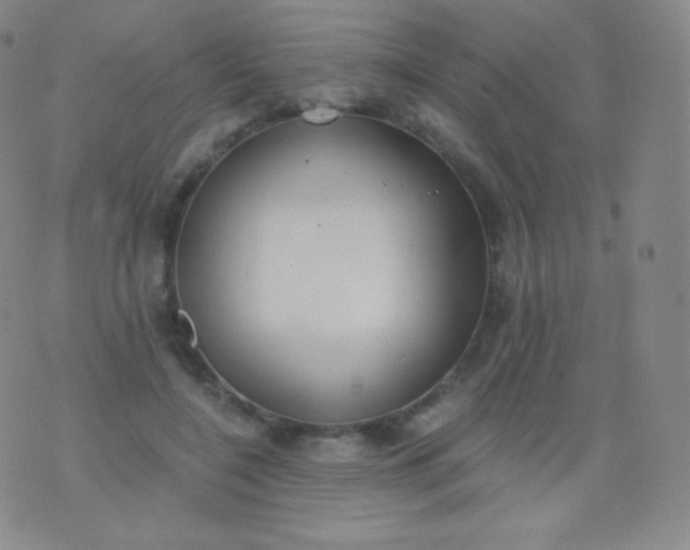 X0000076250548200610122208