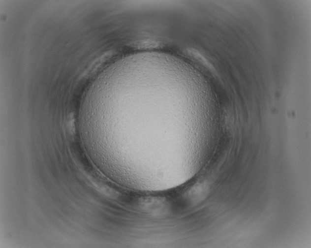 X0000076250549200610122208