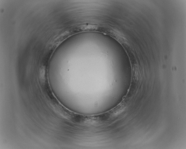 X0000076250550200610122208