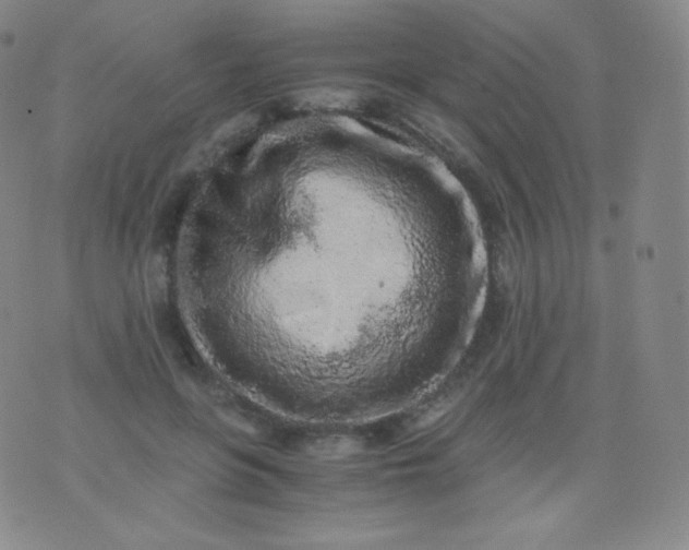 X0000076250551200610122208