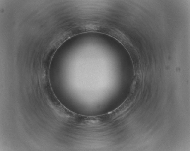 X0000076250552200610122208