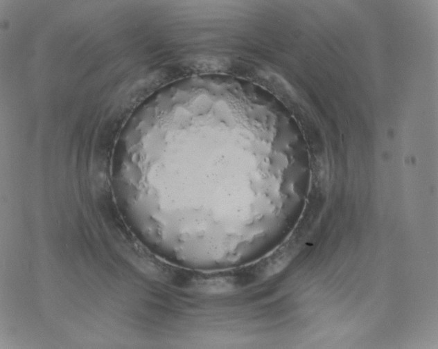 X0000076250553200610122208