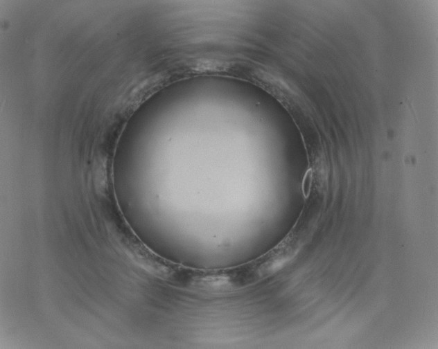 X0000076250554200610122208