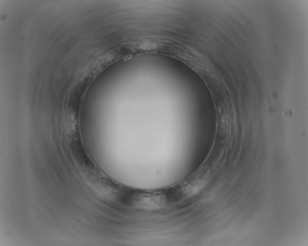 X0000076250555200610122208