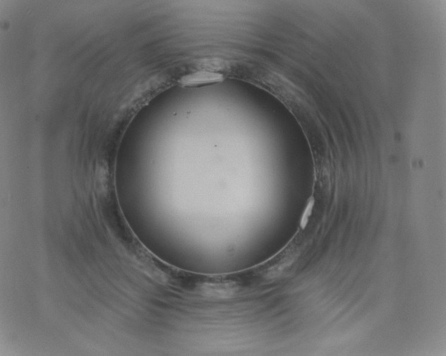 X0000076250556200610122208