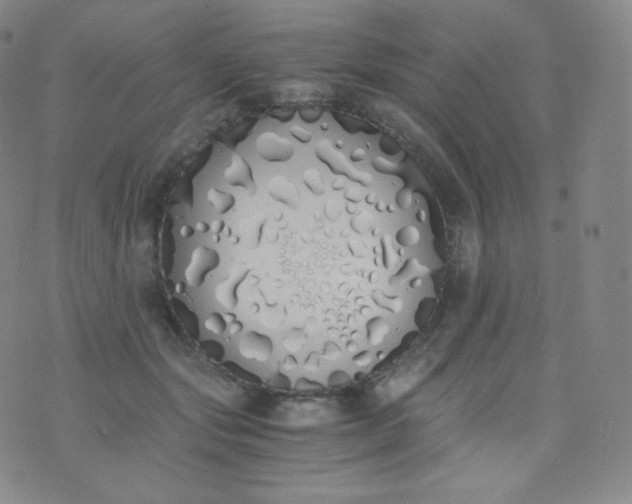 X0000076250557200610122208