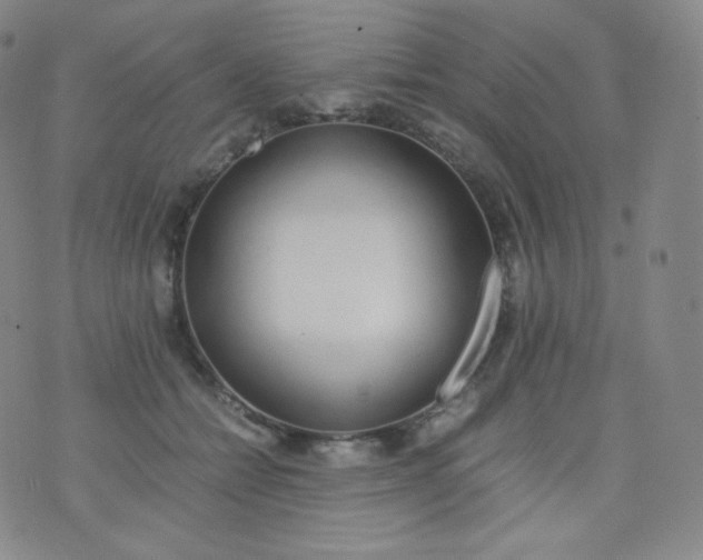 X0000076250558200610122208