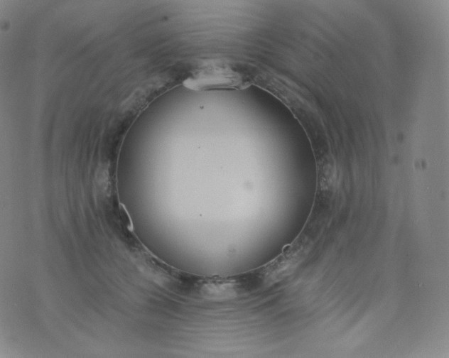 X0000076250560200610122208