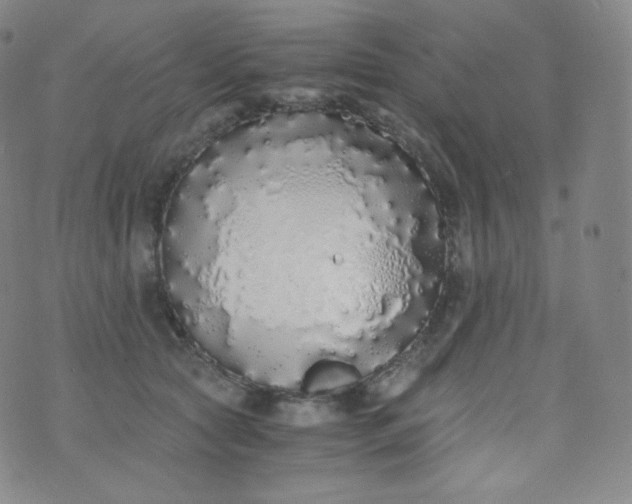 X0000076250561200610122208