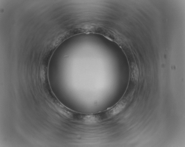 X0000076250562200610122208