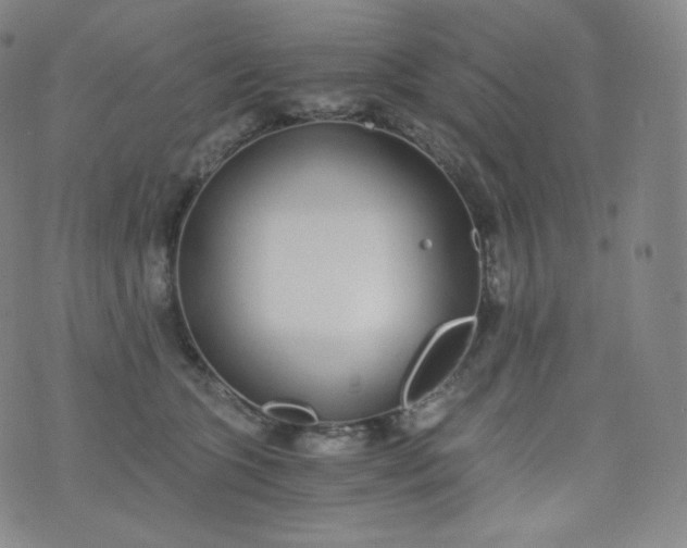 X0000076250563200610122208