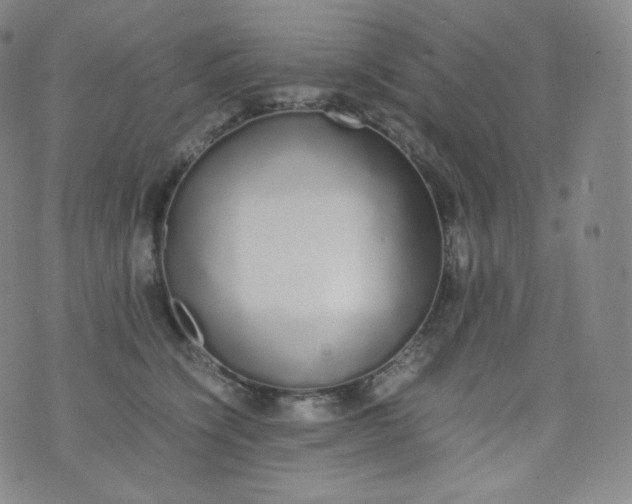 X0000076250564200610122208