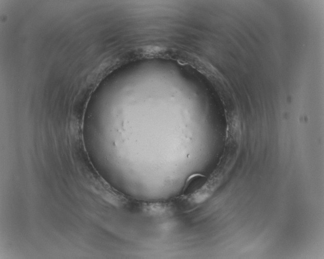 X0000076250565200610122208