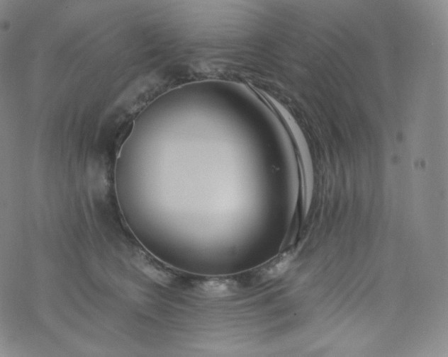 X0000076250566200610122208