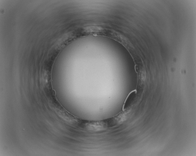 X0000076250567200610122208