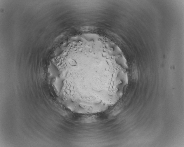 X0000076250569200610122208