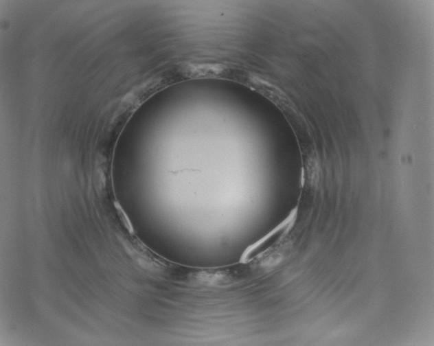 X0000076250570200610122208