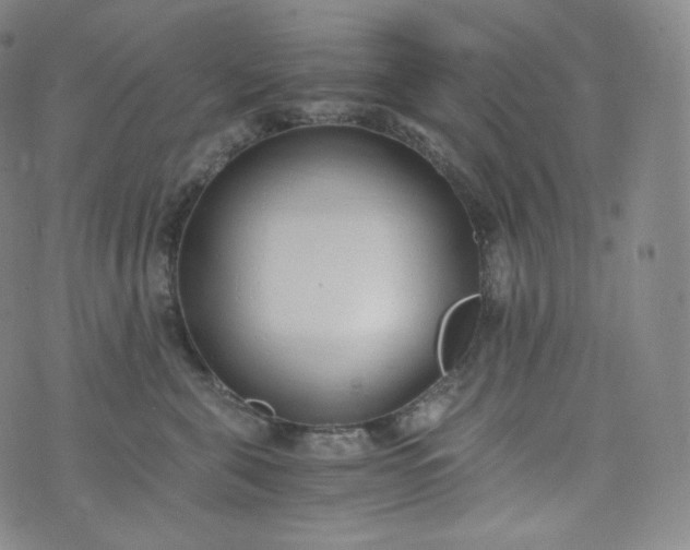 X0000076250571200610122208