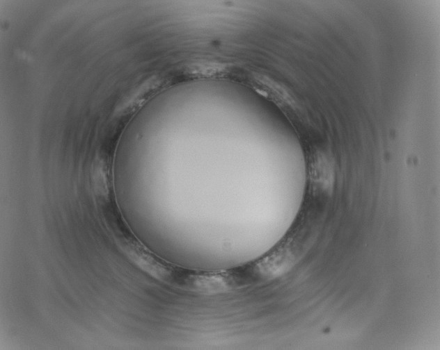 X0000076250572200610122208