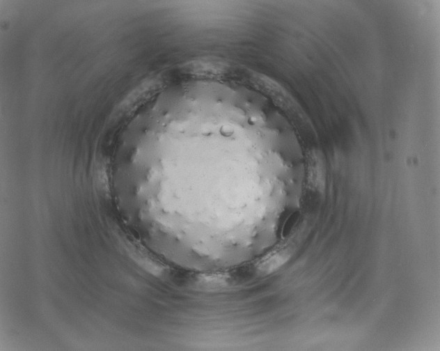 X0000076250573200610122208