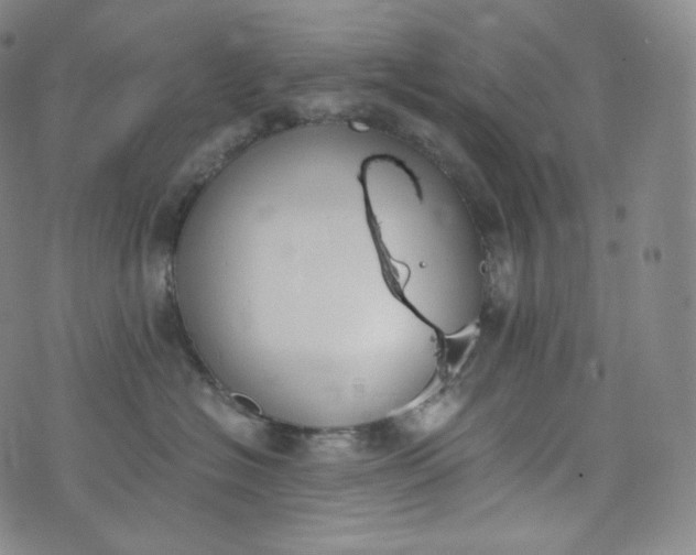 X0000076250574200610122208