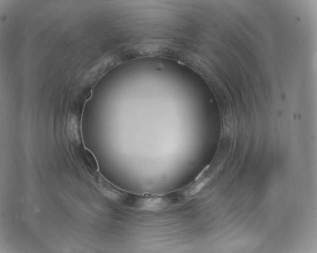 X0000076250575200610122208