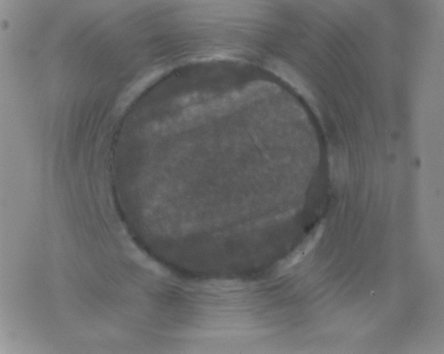 X0000076250577200610122207